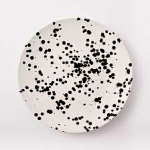 West Elm polka dot dinnerware set